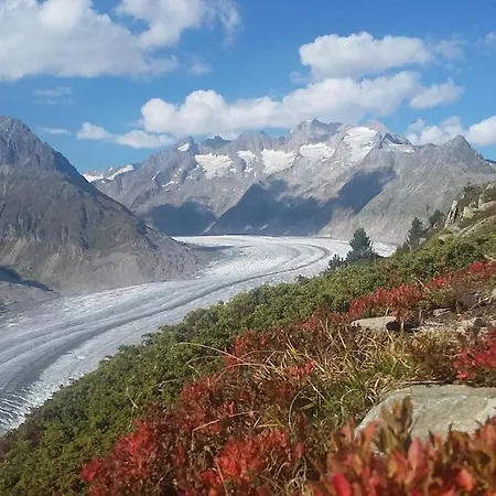 Alpenrose * Grengiols