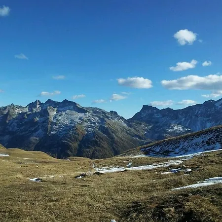 Alpenrose *