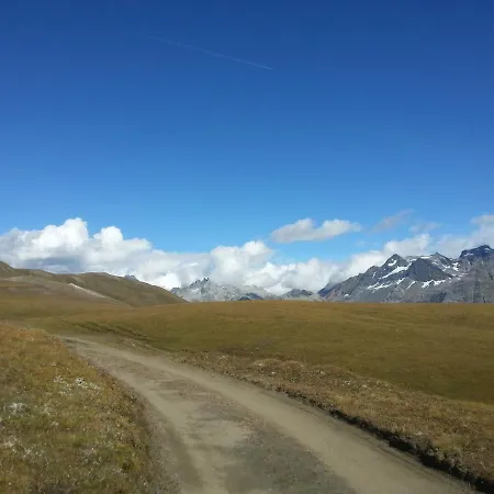 Alpenrose