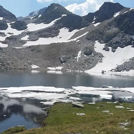 Alpenrose Grengiols