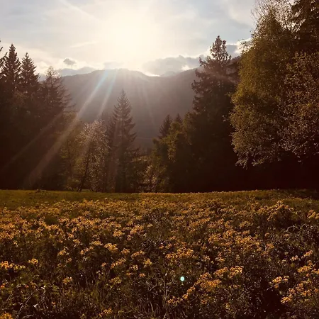 Alpenrose *